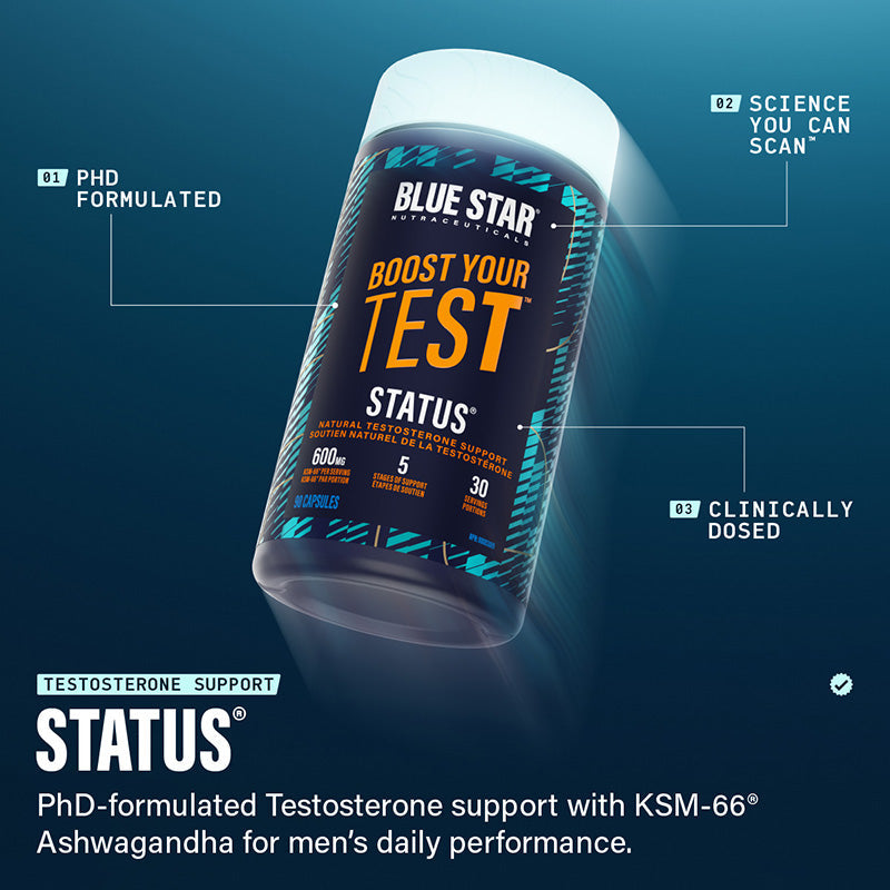 King Maker Status Testo 120cp