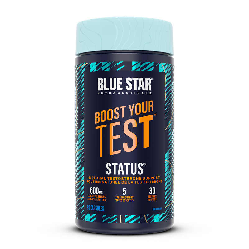 King Maker Status Testo 120cp