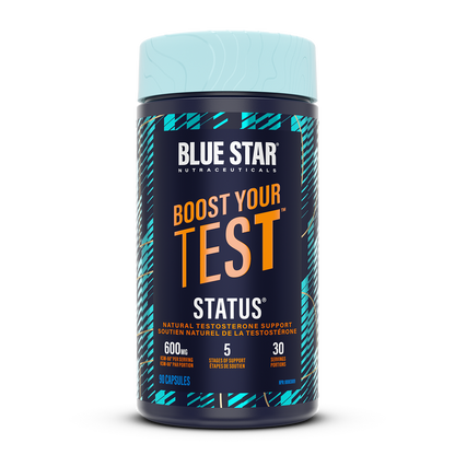 King Maker Status Testo 120cp